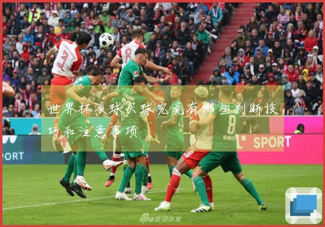 世界杯滚球买球究竟有哪些判断技巧和注意事项