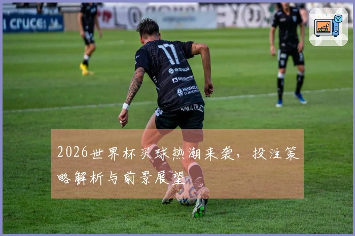 2026世界杯买球热潮来袭，投注策略解析与前景展望