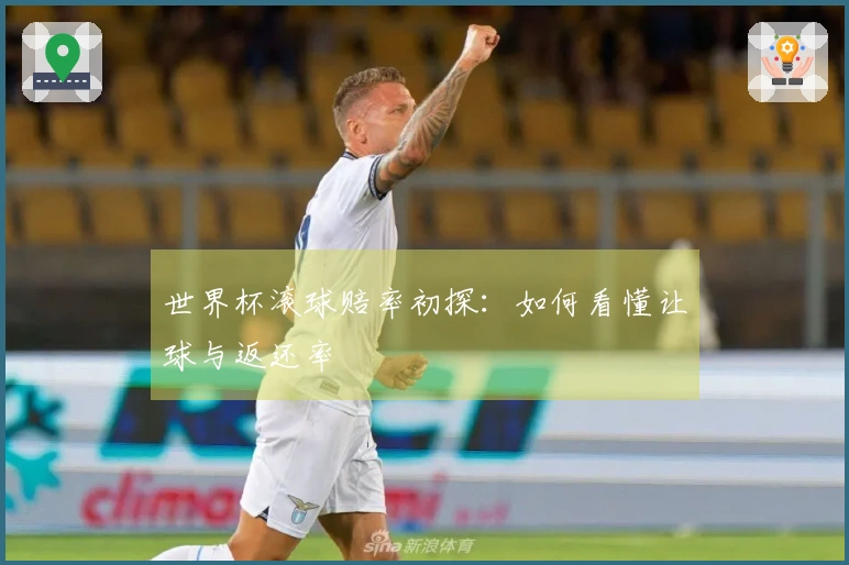 世界杯滚球赔率初探：如何看懂让球与返还率