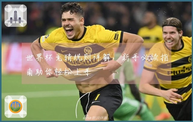 世界杯竞猜规则详解，新手必读指南助你轻松上手
