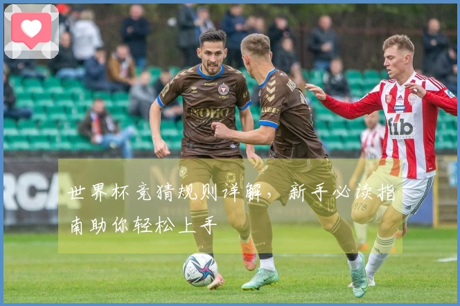 世界杯竞猜规则详解，新手必读指南助你轻松上手