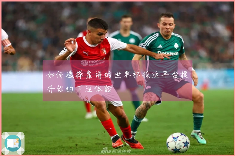 如何选择靠谱的世界杯投注平台提升你的下注体验