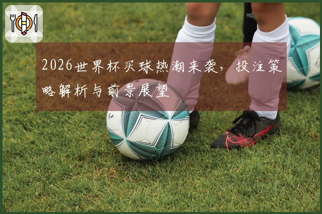 2026世界杯买球热潮来袭，投注策略解析与前景展望