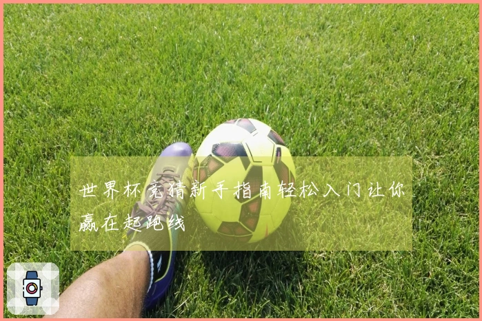 世界杯竞猜新手指南轻松入门让你赢在起跑线
